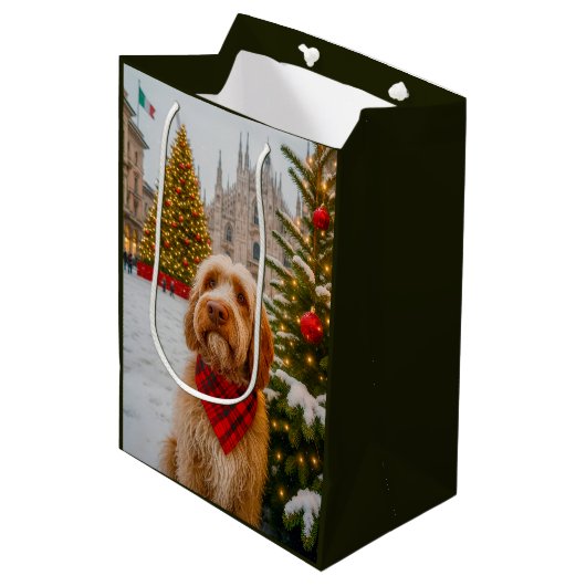 Spinone Italiano  Medium Cadeauzakje (Voorkant Gekanteld)