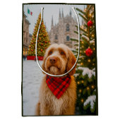 Spinone Italiano  Medium Cadeauzakje (Voorkant)