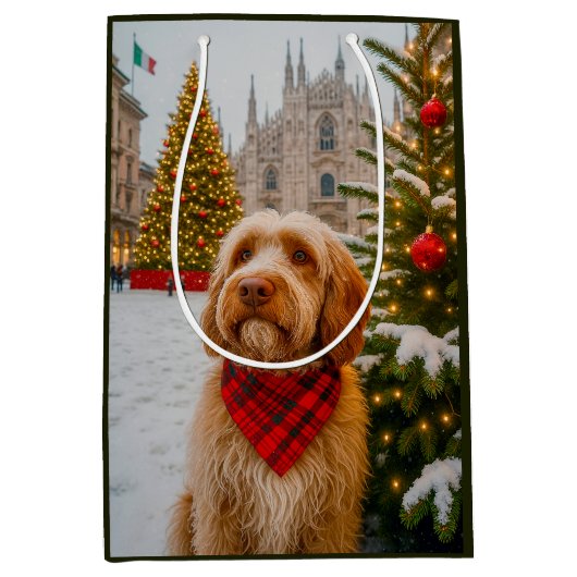 Spinone Italiano  Medium Cadeauzakje (Voorkant)