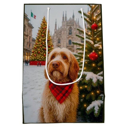 Spinone Italiano  Medium Cadeauzakje (Achterkant)