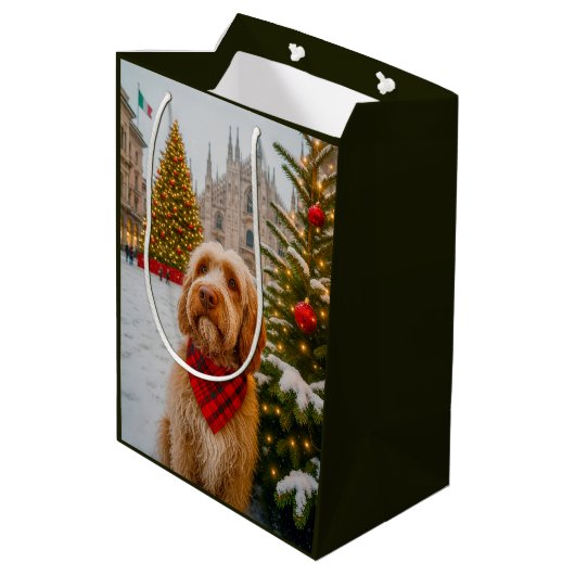 Spinone Italiano  Medium Cadeauzakje (Achterkant Gekanteld)