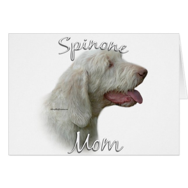 Spinone Italiano Moeder 2 (Voorkant Horizontaal)
