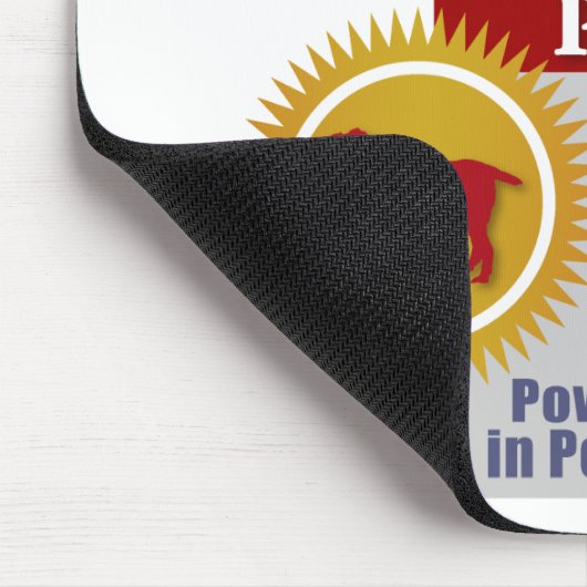 Spinone Italiano Muismat (Hoek)