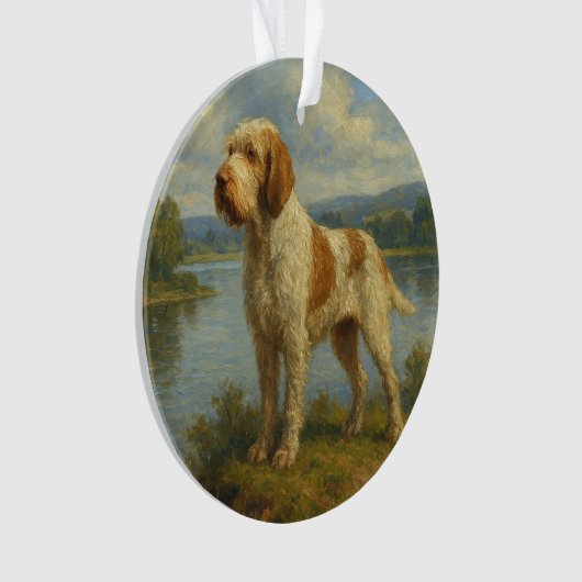 Spinone Italiano Ornament (voorkant)
