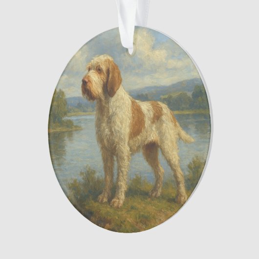 Spinone Italiano Ornament (voorkant)