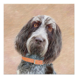 Spinone Italiano Painting - Cute Original Dog Art Perfect Poster