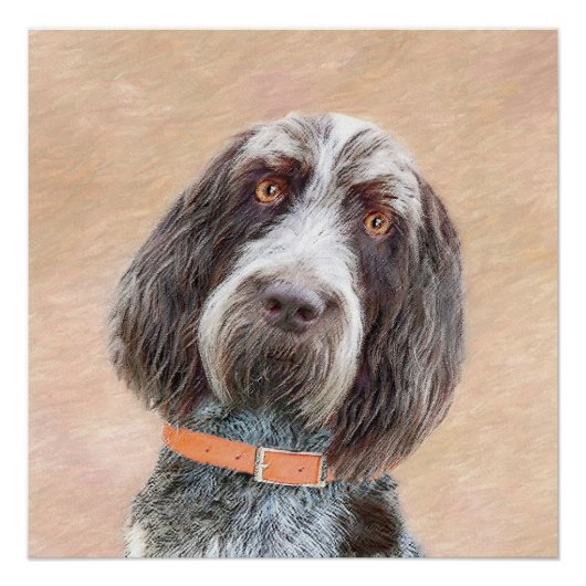 Spinone Italiano Painting - Cute Original Dog Art Perfect Poster (Voorkant)