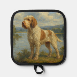 Spinone Italiano Pannenlap