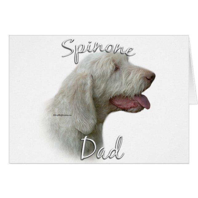 Spinone Italiano Papa 2 (Voorkant Horizontaal)