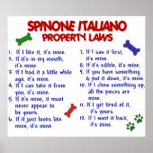 SPINONE ITALIANO PL2 POSTER (Voorkant)