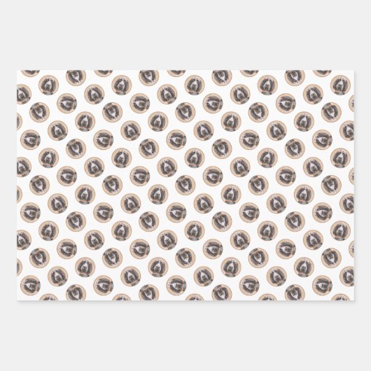 Spinone Italiano Schilderij Bruin Roan Schattigee Inpakpapier Vel (Voorkant 2)