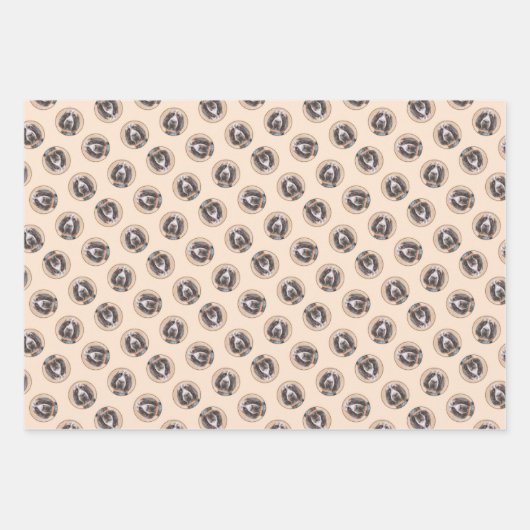 Spinone Italiano Schilderij Bruin Roan Schattigee Inpakpapier Vel (Voorkant)