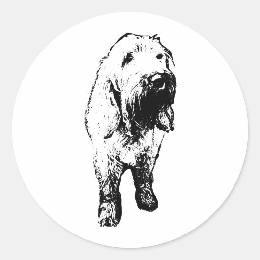 Spinone Italiano Sticker – Krachtige Staande Hond (Voorkant)