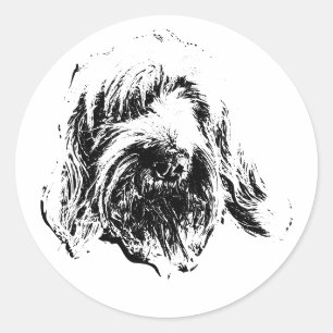 Spinone Italiano Sticker – Minimalistisch Hondenge