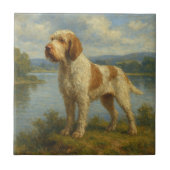 Spinone Italiano Tegeltje (Voorkant)