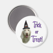 Spinone Italiano Trick Magneet (Voorkant / Achterkant)