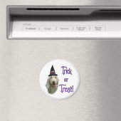 Spinone Italiano Trick Magneet (Insitu (Vaatwasser))