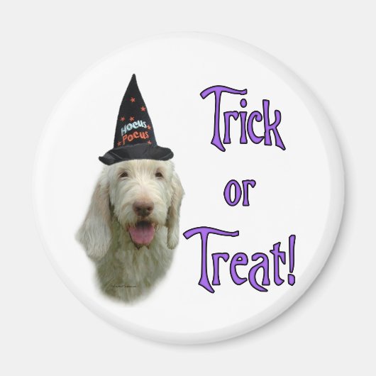 Spinone Italiano Trick Magneet (Voorkant)