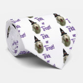 Spinone Italiano Trick Stropdas (Opgerold)