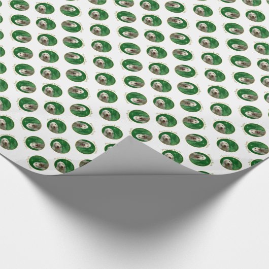 Spinone Italiano vrede Cadeaupapier (Hoek)