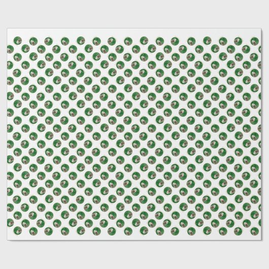 Spinone Italiano vrede Cadeaupapier (Vlak)