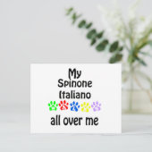 Spinone Italiano wandelingen ontwerp Briefkaart (Staand voorkant)