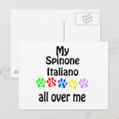 Spinone Italiano wandelingen ontwerp Briefkaart (Voorkant / Achterkant)