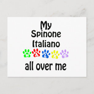 Spinone Italiano wandelingen ontwerp Briefkaart
