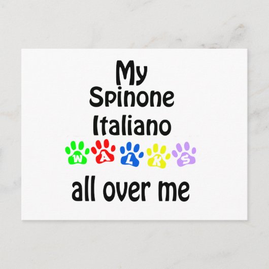 Spinone Italiano wandelingen ontwerp Briefkaart (Voorkant)