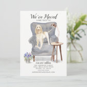 Spinone Italiano We hebben de aankondiging verplaa (Staand voorkant)