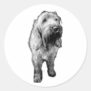 Spinone Sticker – Emotioneel Hond Portret