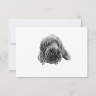 Spinone Stille Dank Bedankkaart
