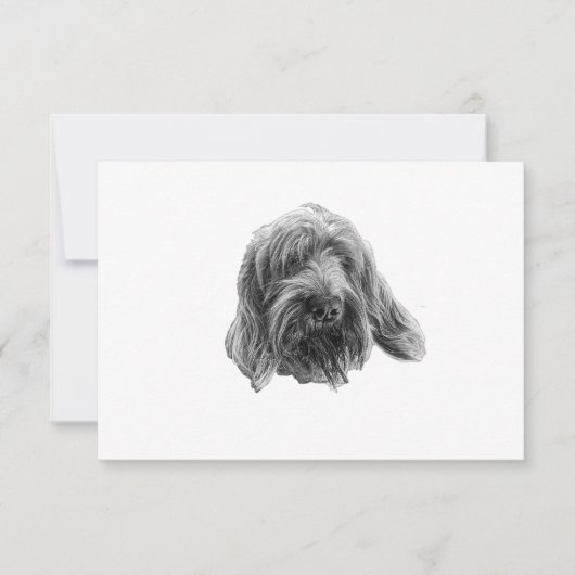 Spinone Stille Dank Bedankkaart (Voorkant)