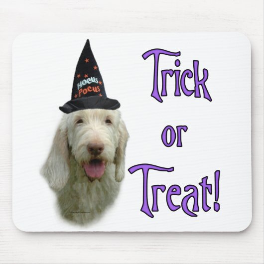 Spinone Trick Mousepad Muismat (Voorkant)