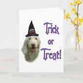 Spinone Trick Wenskaart Kaart (Gele Bloem)