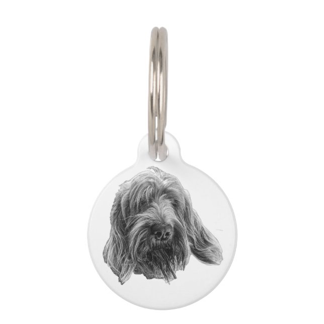 Spinone Veldloper Huisdierpenning (Voorkant)