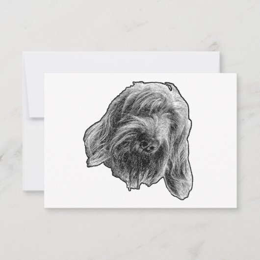 Spinone vriendelijke dank bedankkaart (Voorkant)