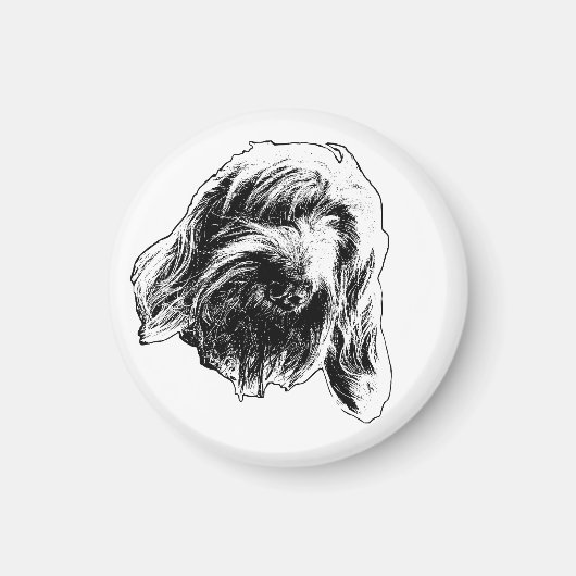 Spinone Warme Toonbank Magneet (Voorkant)