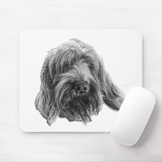 Spinone-werkweide Muismat (Met muis)