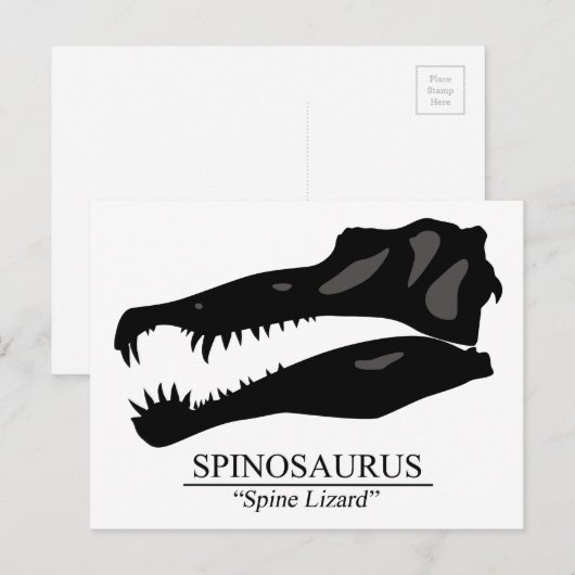 Spinosaurus Briefkaart (Voorkant / Achterkant)
