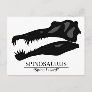 Spinosaurus Briefkaart