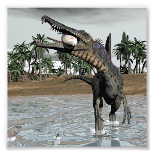 Spinosaurus dinosaur die vis eet - 3D rendering Foto Afdruk (Voorkant)