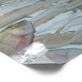 Spinosaurus dinosaur die vis eet - 3D rendering Poster (Hoek)