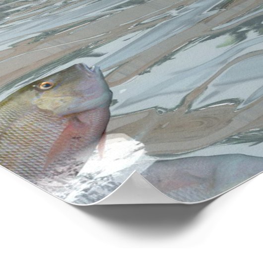 Spinosaurus dinosaur die vis eet - 3D rendering Poster (Hoek)