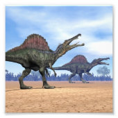 Spinosaurus dinosaurus wandeling - 3D rendering Foto Afdruk (Voorkant)
