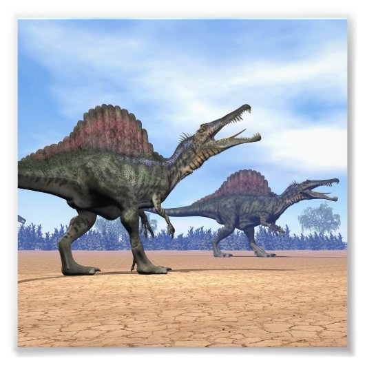 Spinosaurus dinosaurus wandeling - 3D rendering Foto Afdruk (Voorkant)