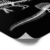 Spinosaurus mirabilis nieuwe dinosaurusfossiel poster (Hoek)