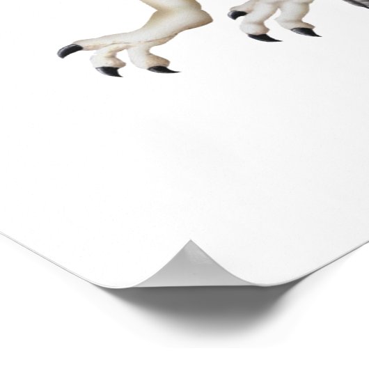 Spinosaurus Poster (Hoek)