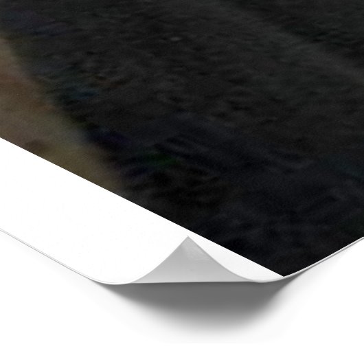 spinoza poster (Hoek)