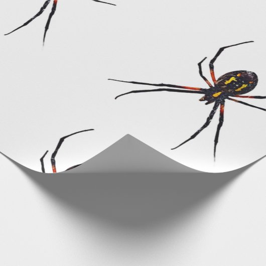 Spinpakpapier Cadeaupapier (Hoek)